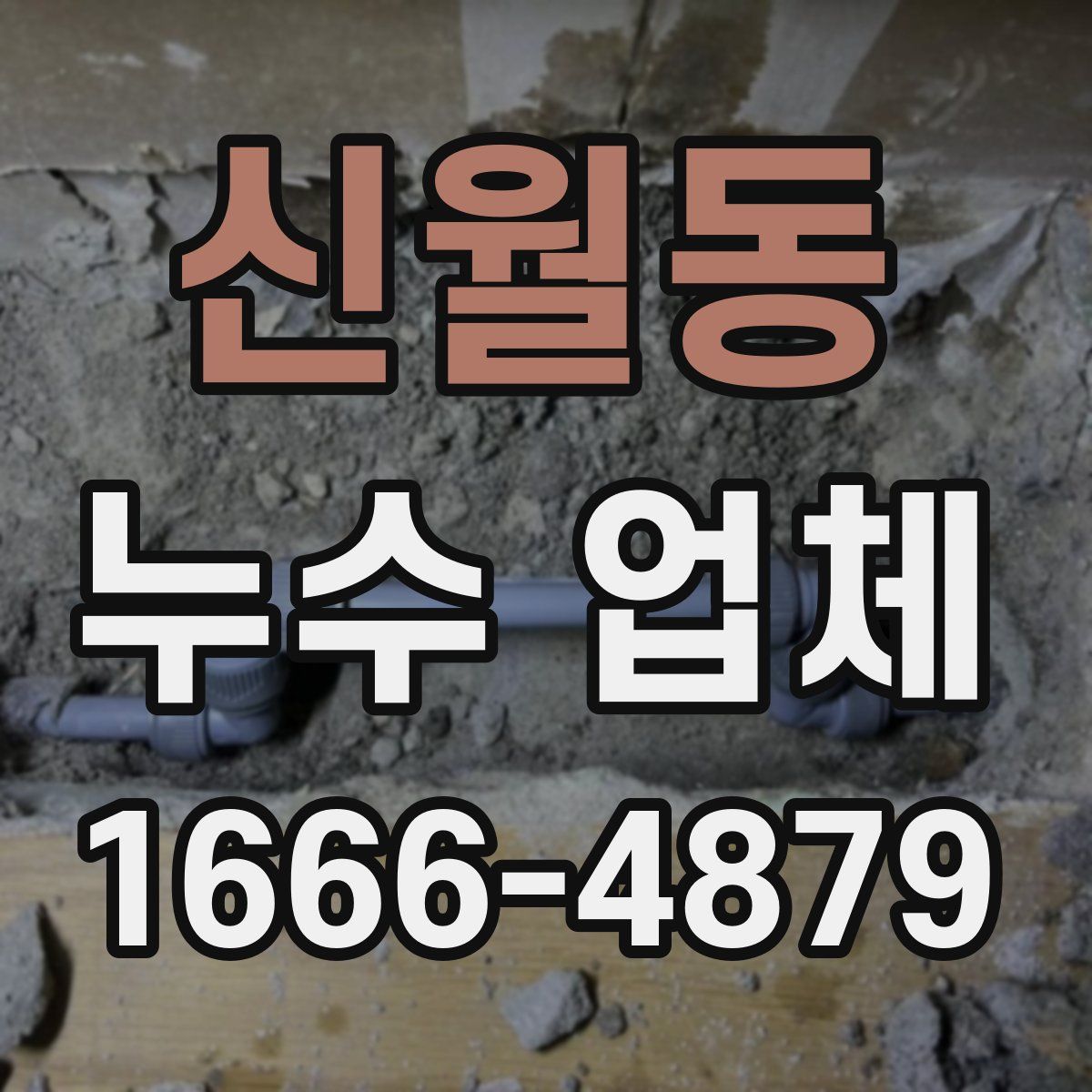 신월동 누수 업체