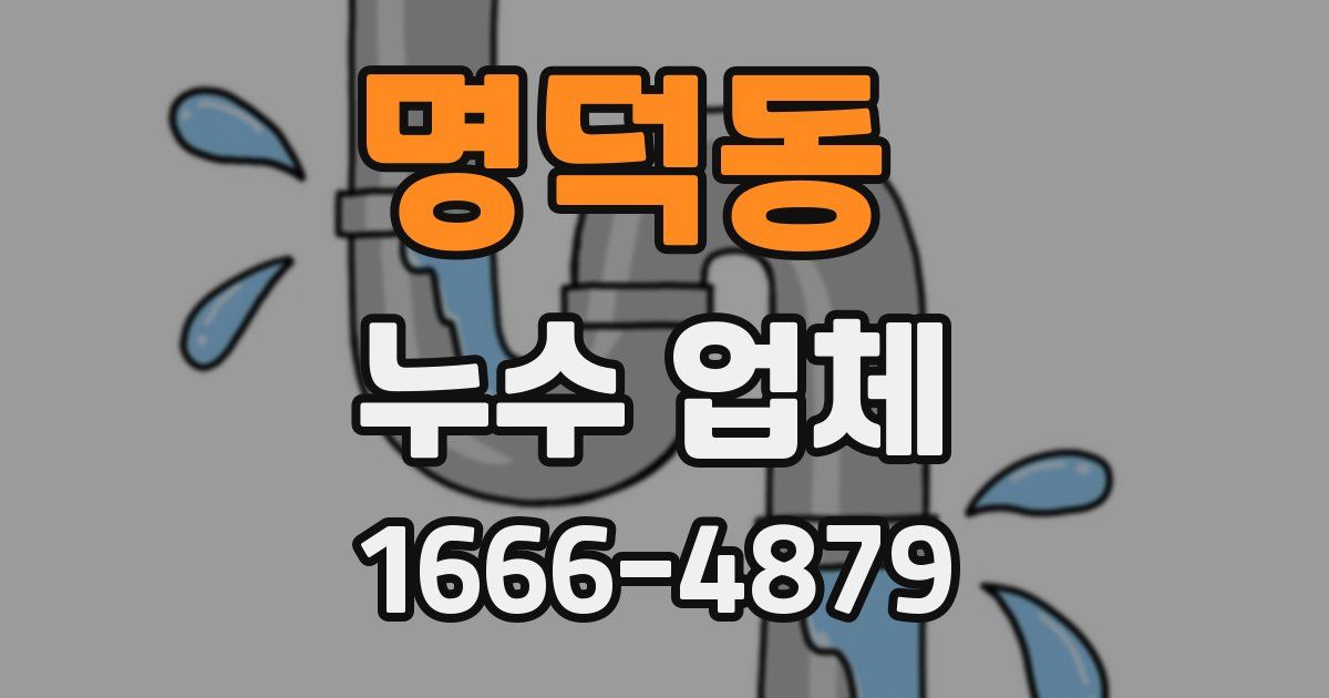 명덕동 누수 업체