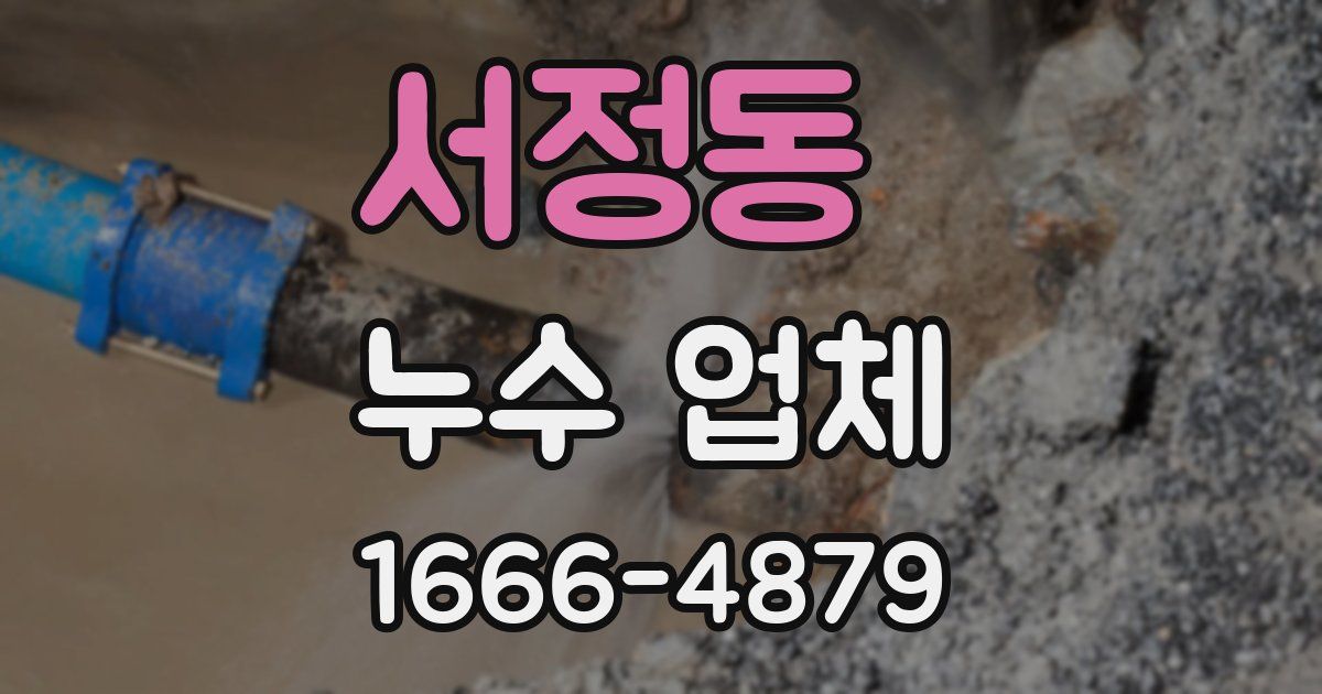 서정동 누수 업체