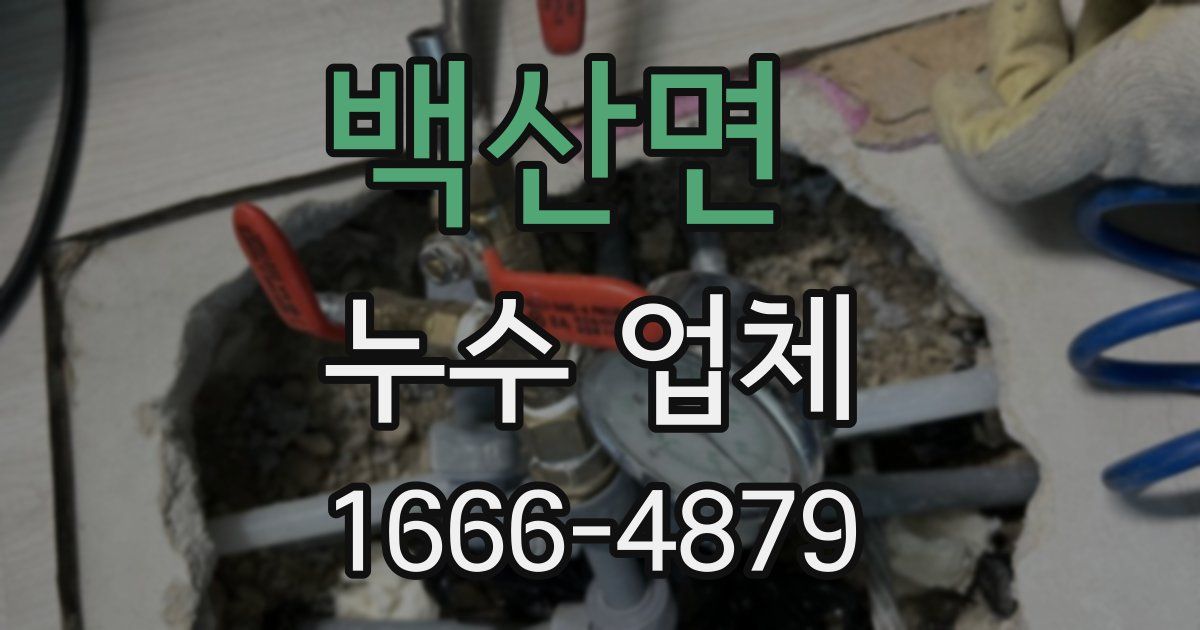 백산면 누수 업체