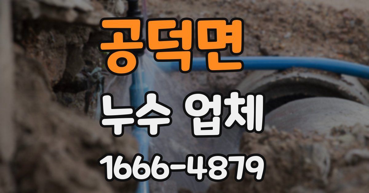 공덕면 누수 업체