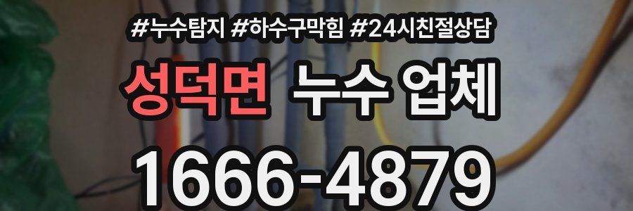 성덕면 누수 업체