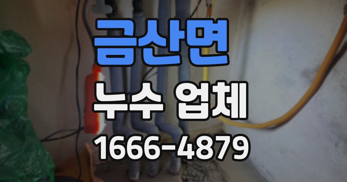 금산면 누수 업체