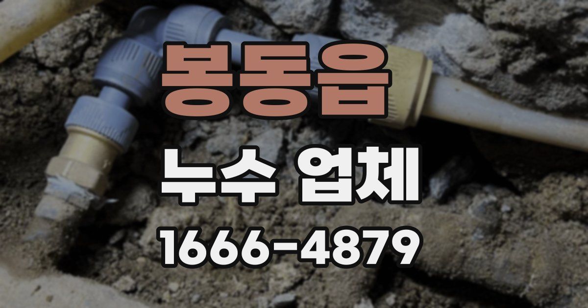 봉동읍 누수 업체