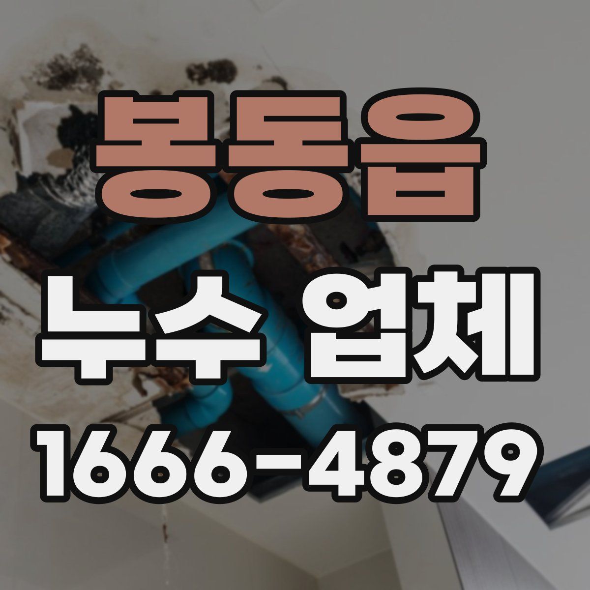 봉동읍 누수 업체