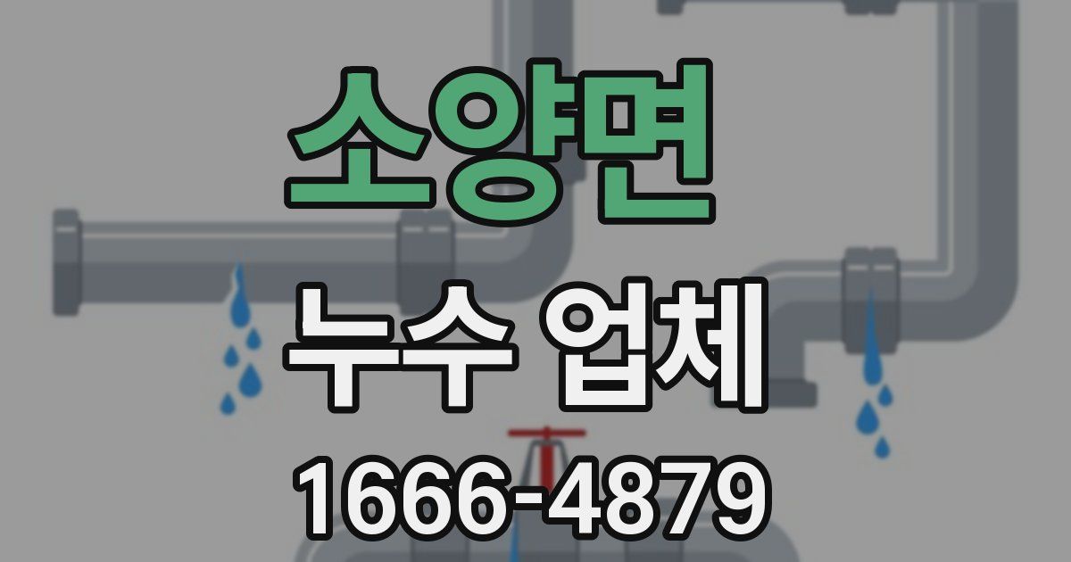 소양면 누수 업체