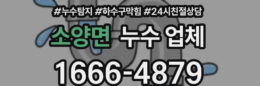 소양면 누수 업체