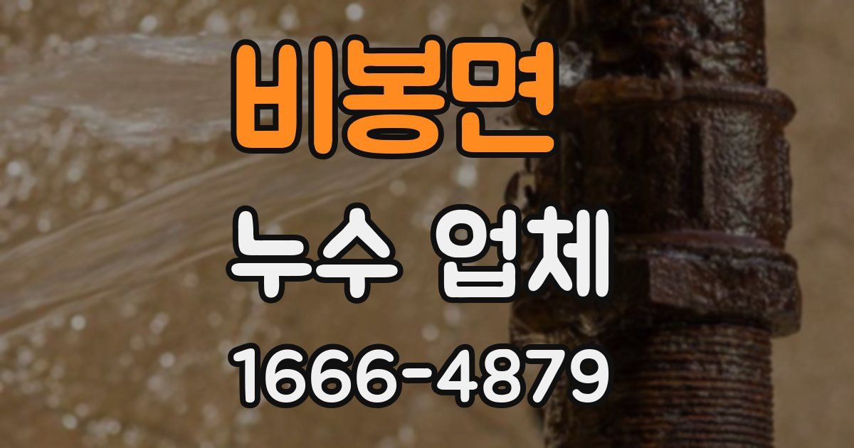 비봉면 누수 업체
