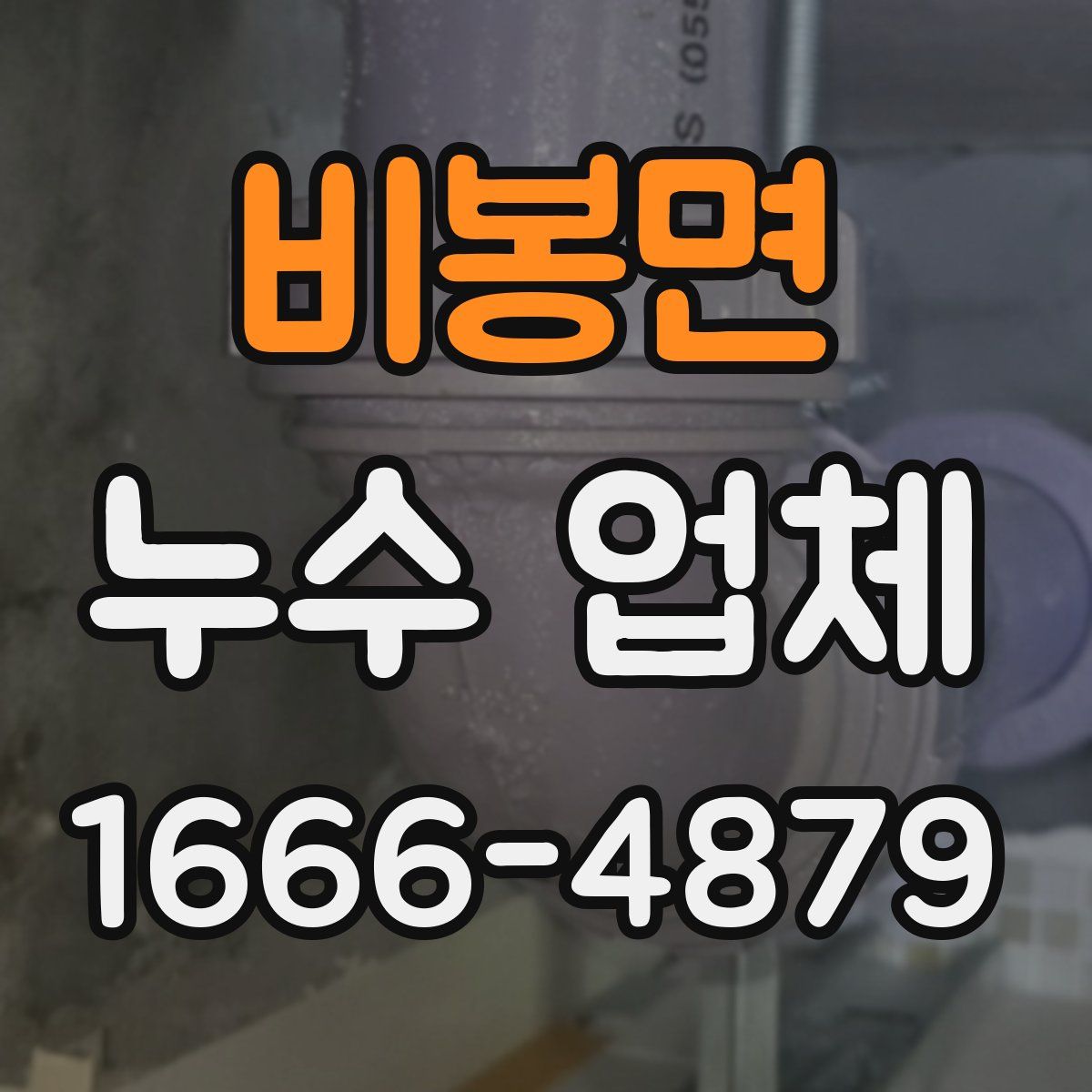 비봉면 누수 업체