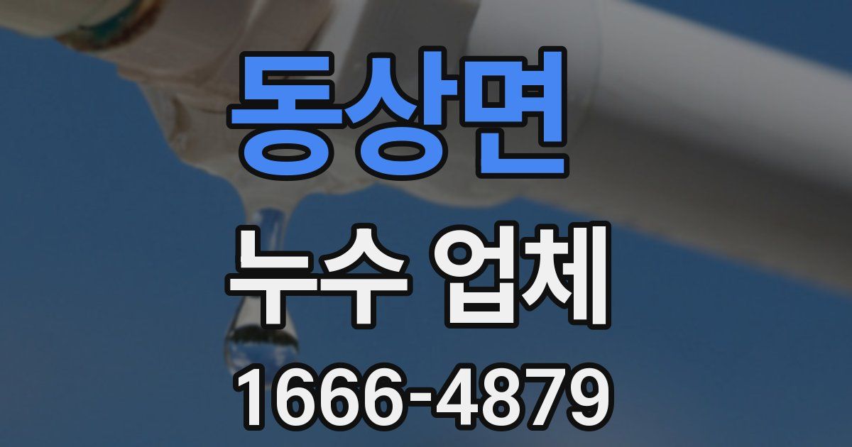 동상면 누수 업체