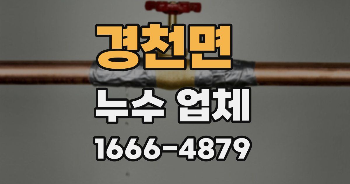 경천면 누수 업체
