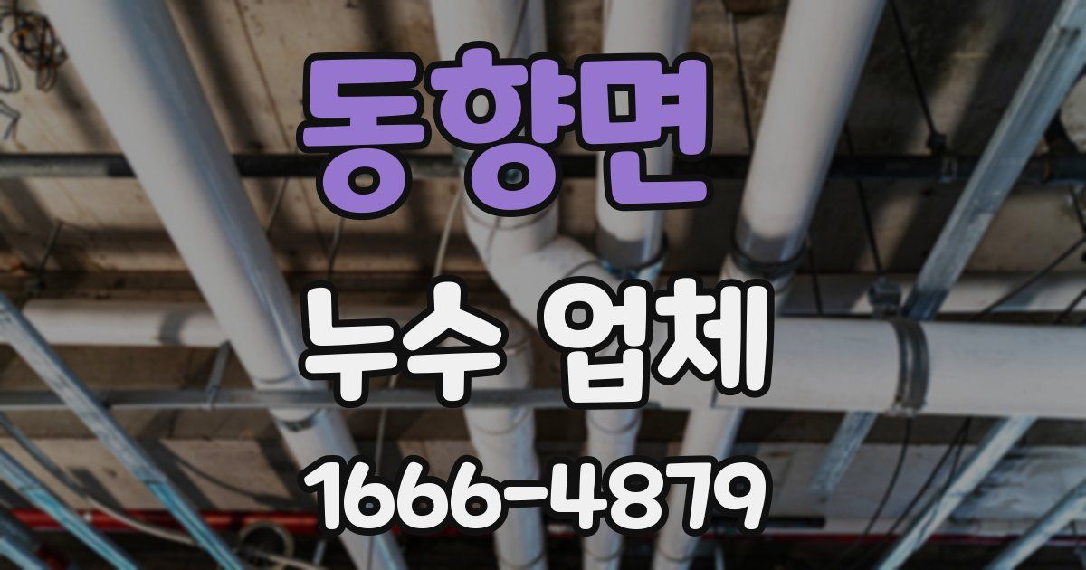 동향면 누수 업체