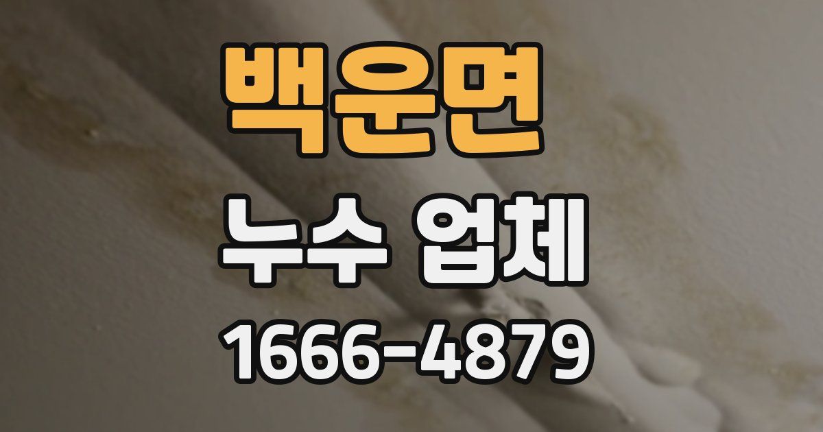 백운면 누수 업체