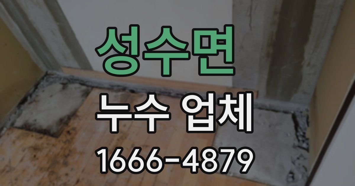 성수면 누수 업체