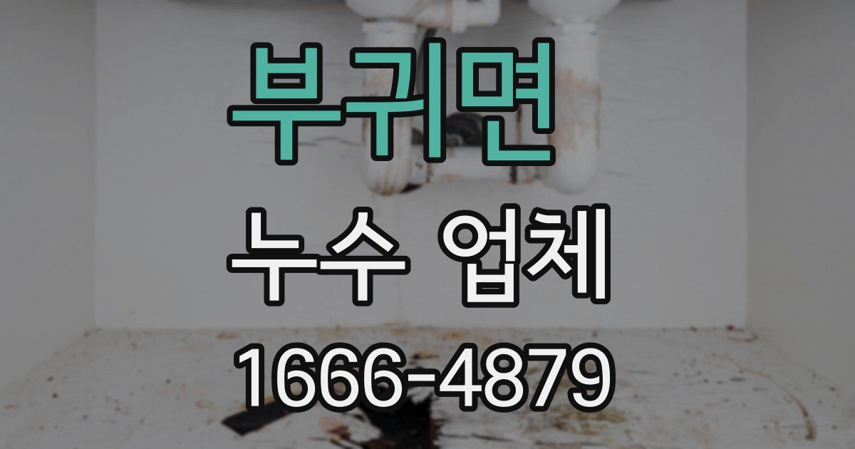 부귀면 누수 업체