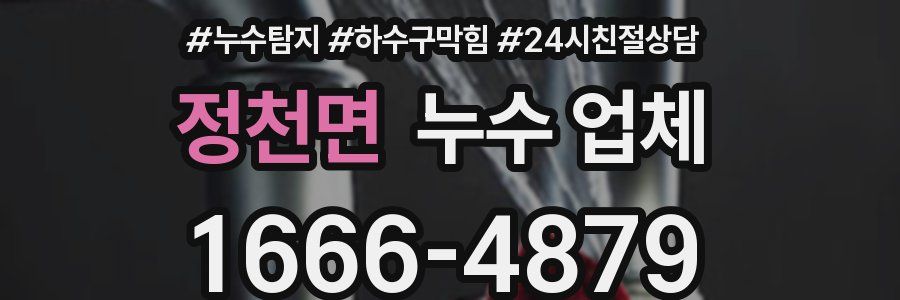 정천면 누수 업체