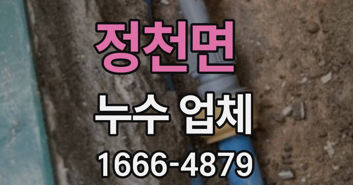 정천면 누수 업체