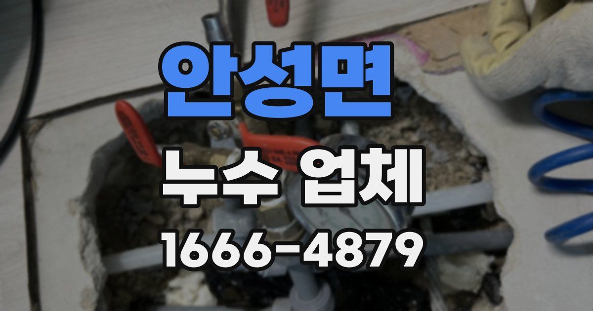 안성면 누수 업체