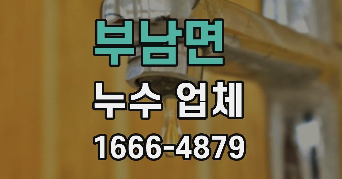 부남면 누수 업체