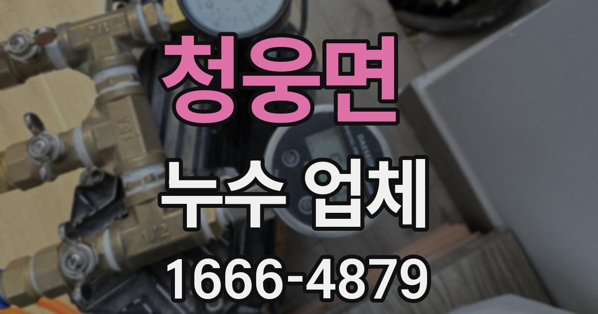 청웅면 누수 업체