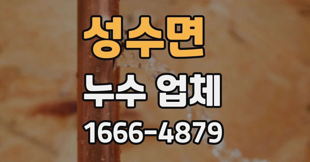 성수면 누수 업체
