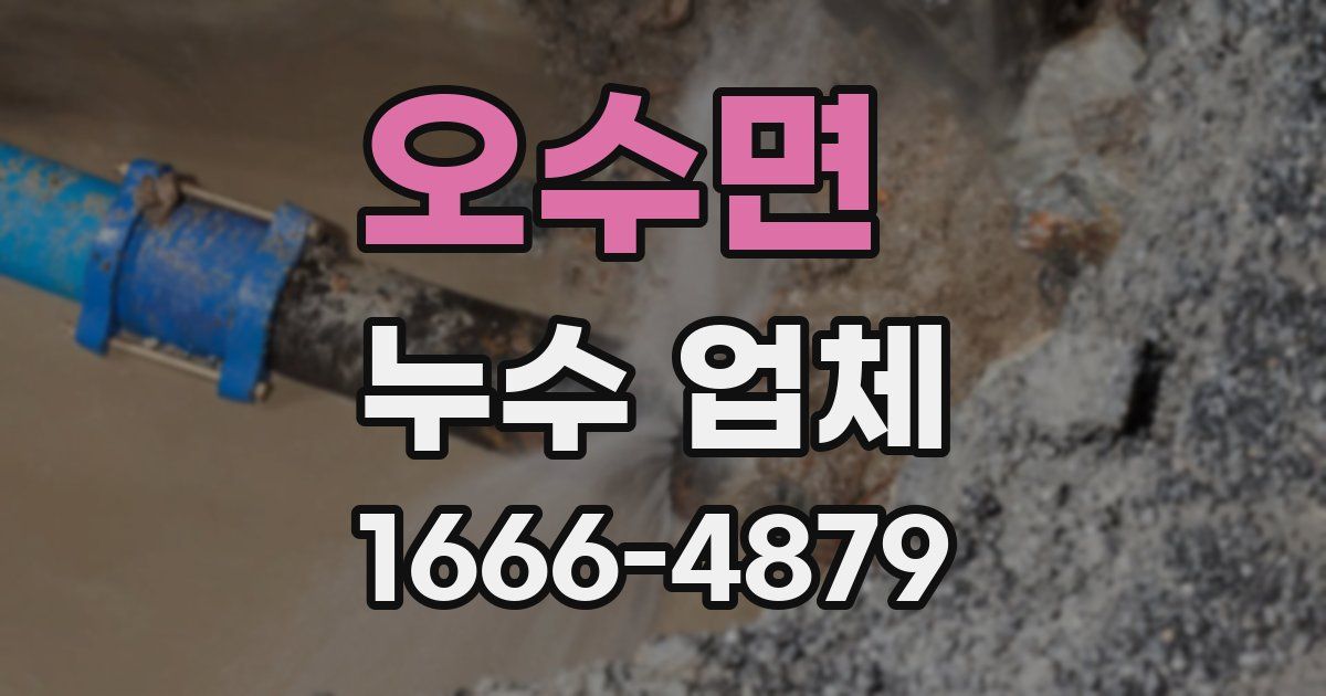 오수면 누수 업체