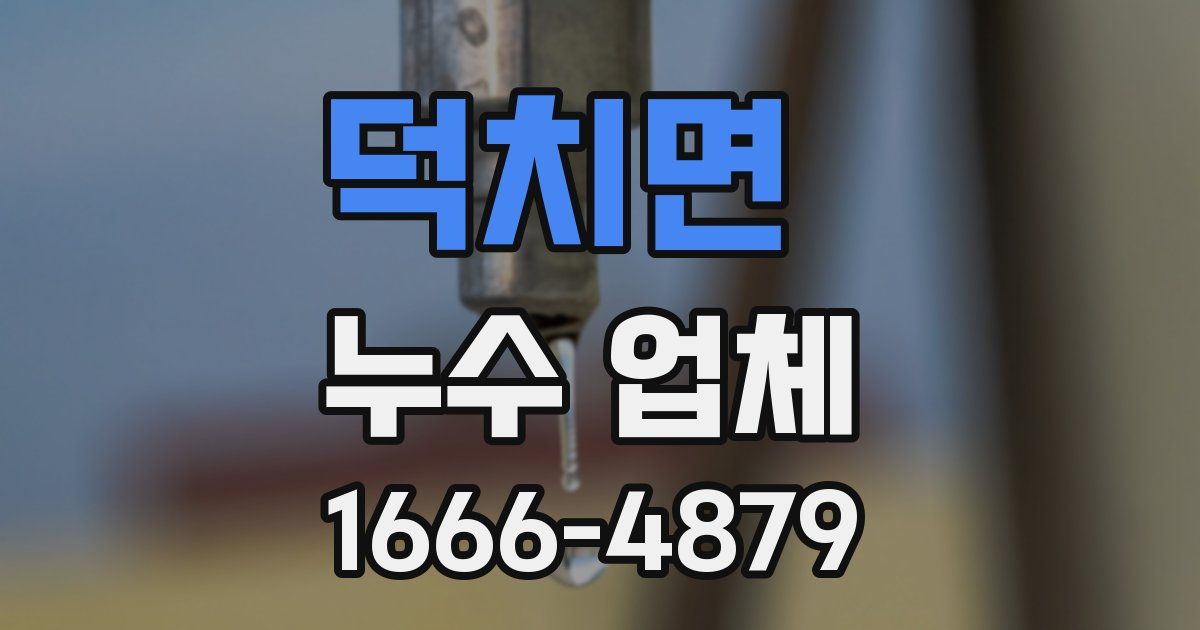 덕치면 누수 업체