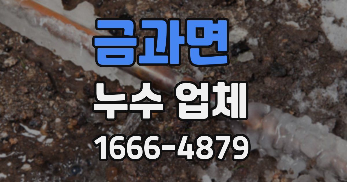 금과면 누수 업체