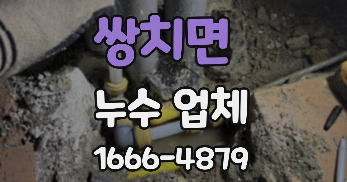 쌍치면 누수 업체