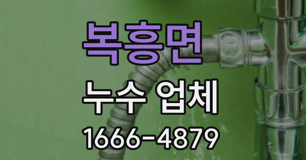 복흥면 누수 업체