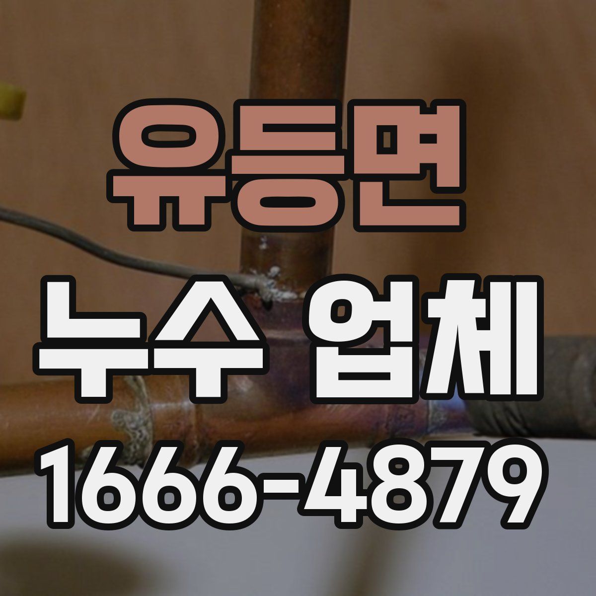 유등면 누수 업체