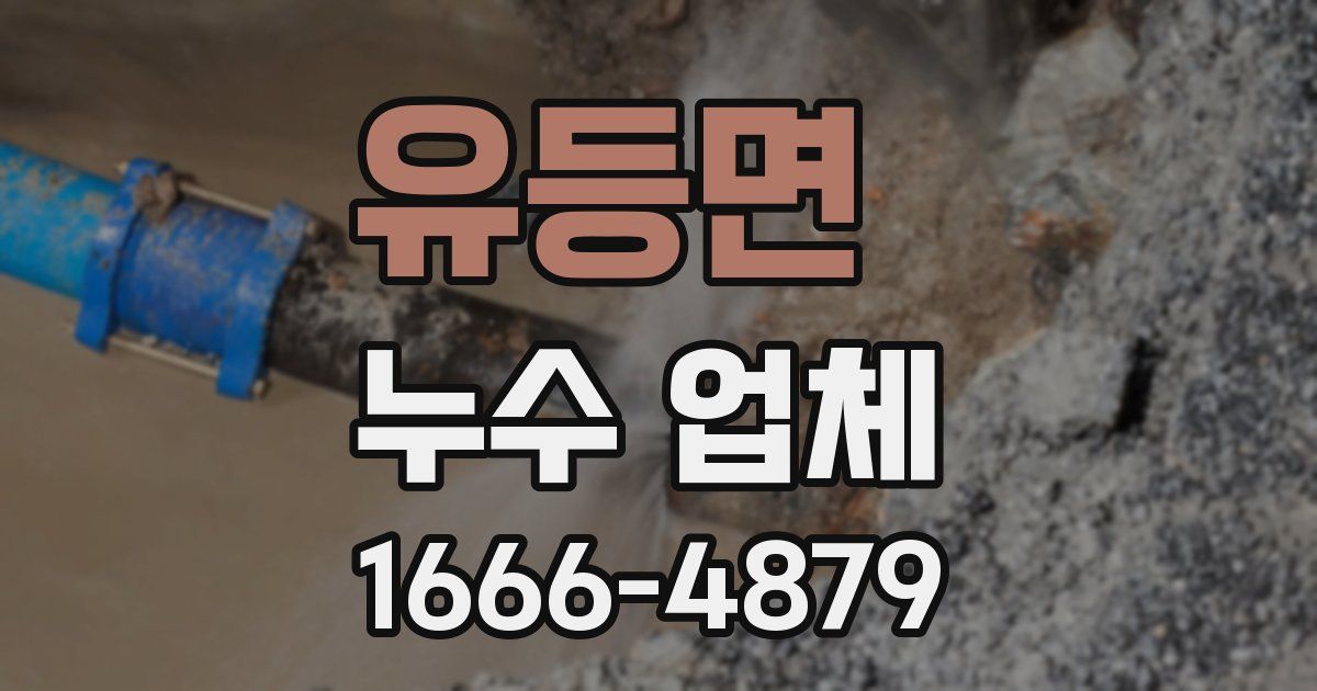 유등면 누수 업체