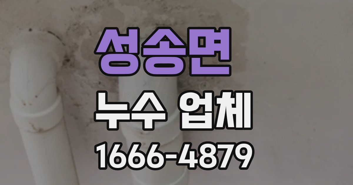 성송면 누수 업체