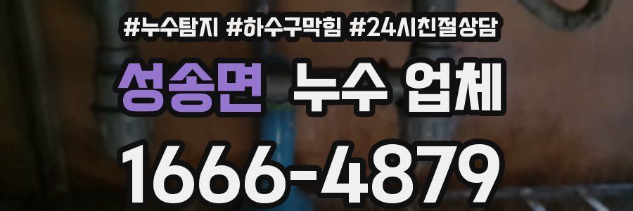 성송면 누수 업체