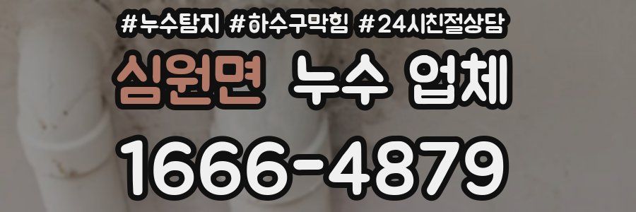 심원면 누수 업체