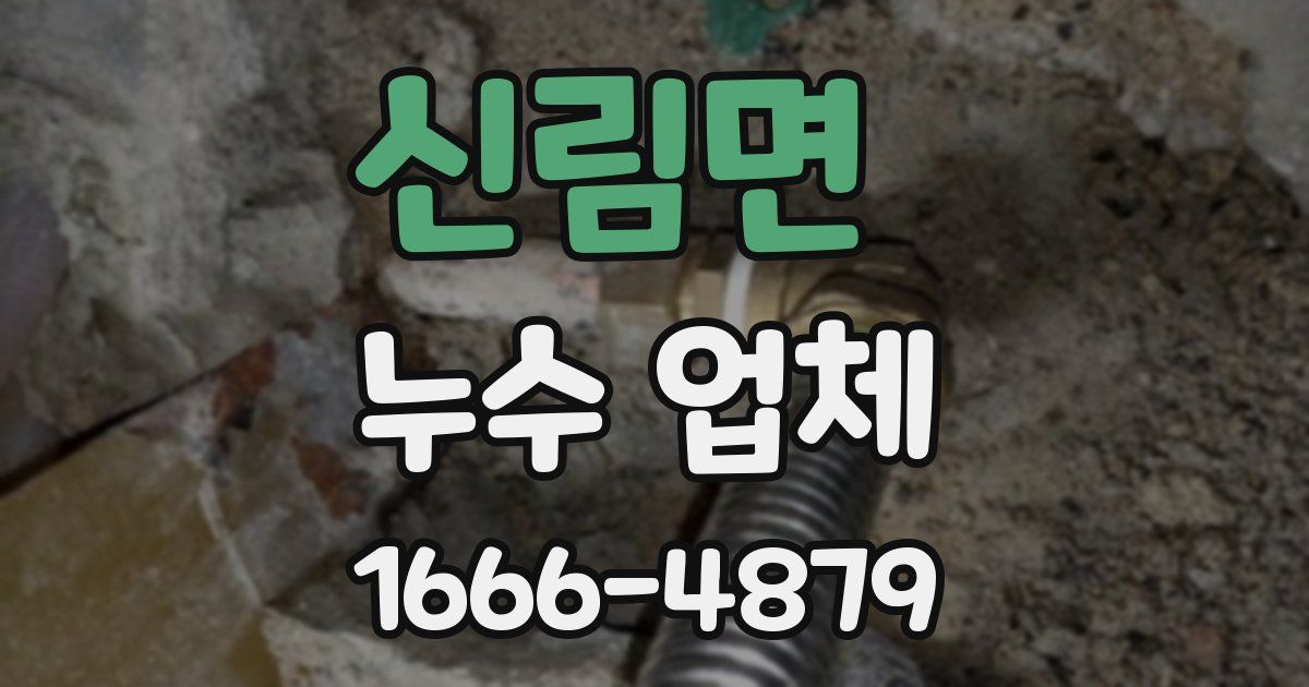 신림면 누수 업체