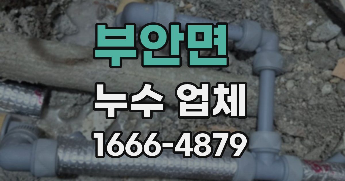 부안면 누수 업체