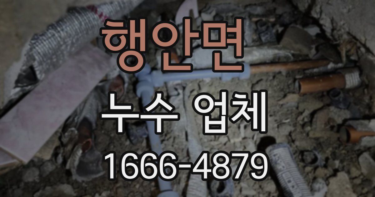 행안면 누수 업체