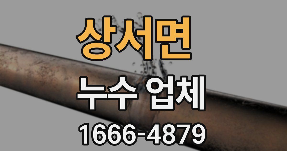 상서면 누수 업체