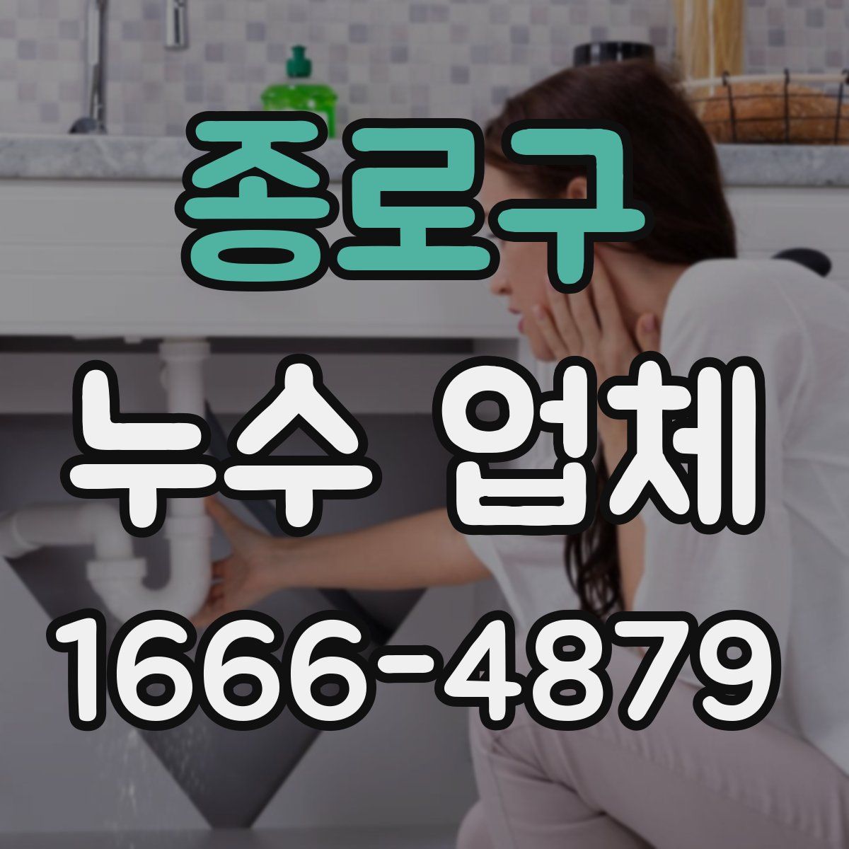종로구 누수 업체