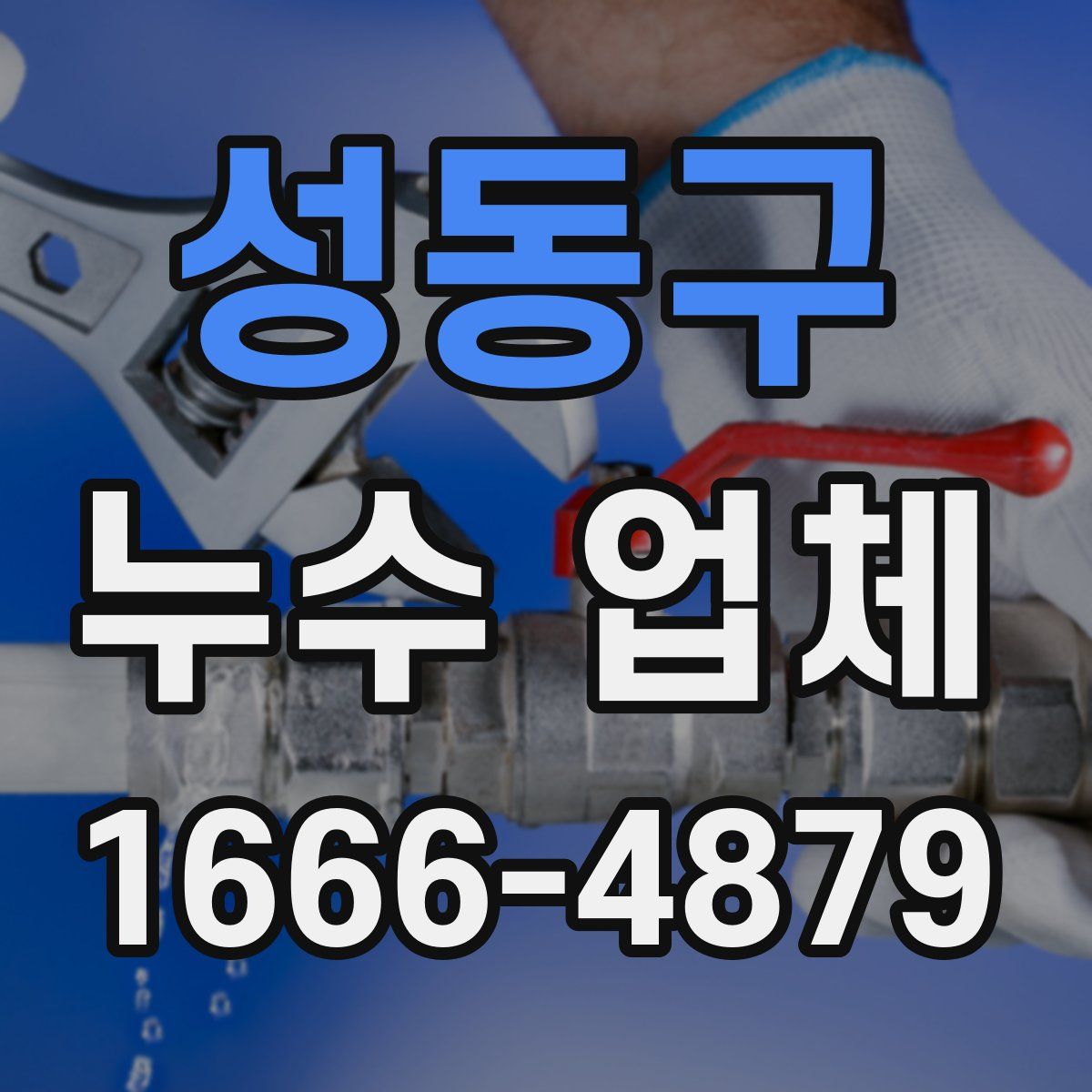 성동구 누수 업체