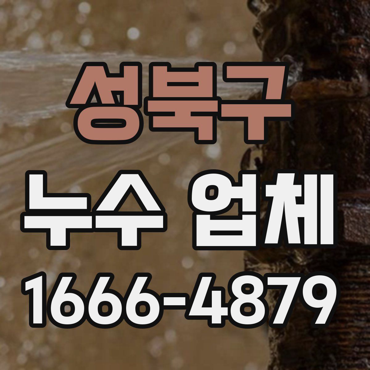 성북구 누수 업체
