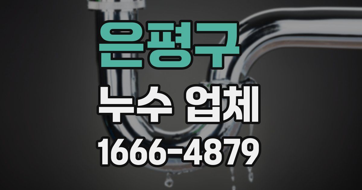 은평구 누수 업체