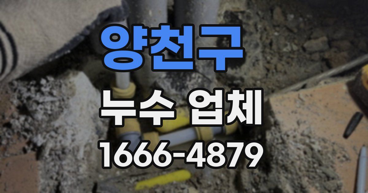 양천구 누수 업체