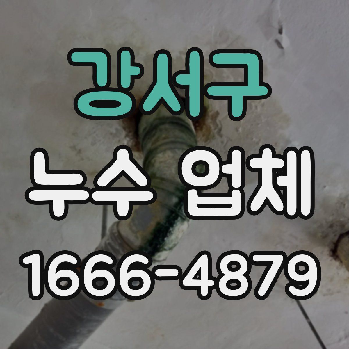 강서구 누수 업체