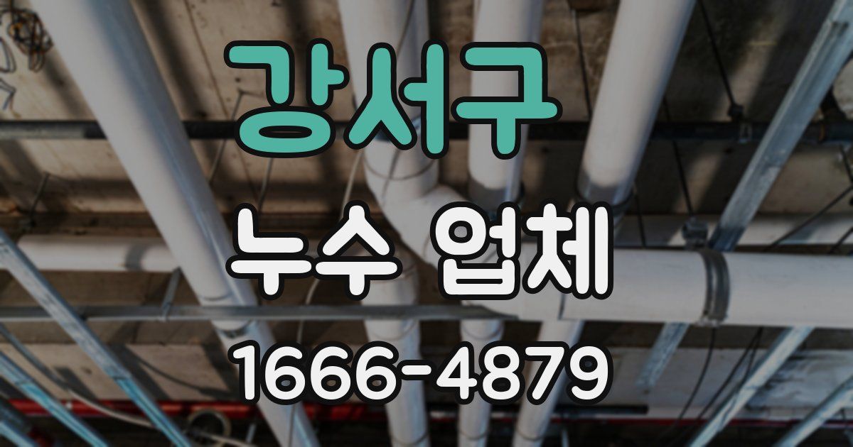 강서구 누수 업체