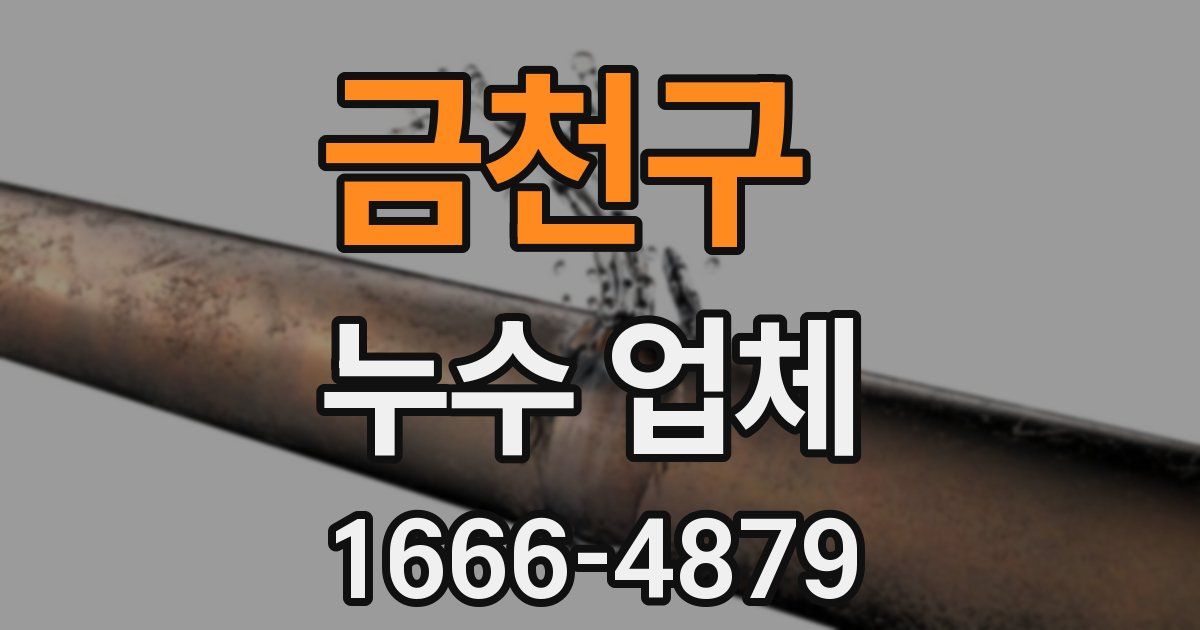 금천구 누수 업체