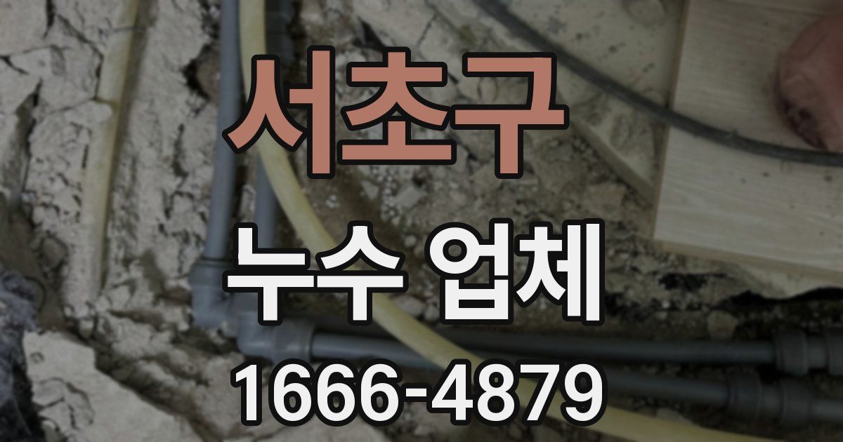 서초구 누수 업체