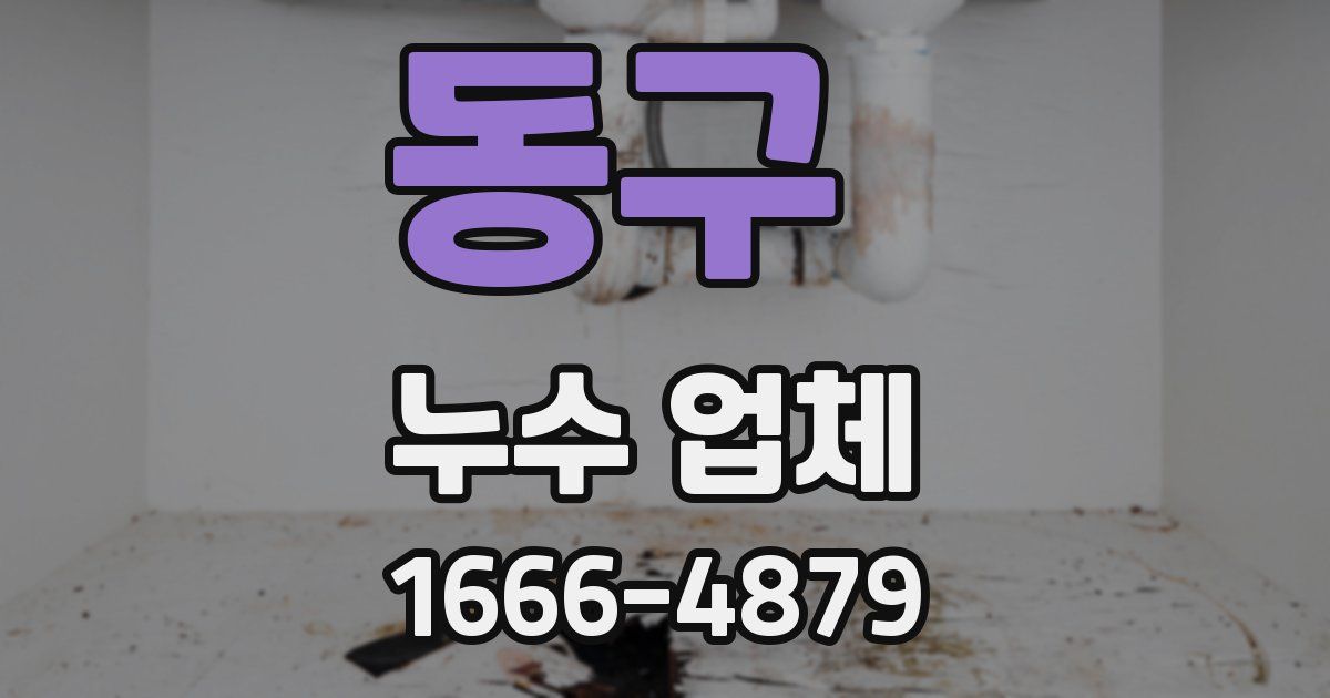 동구 누수 업체