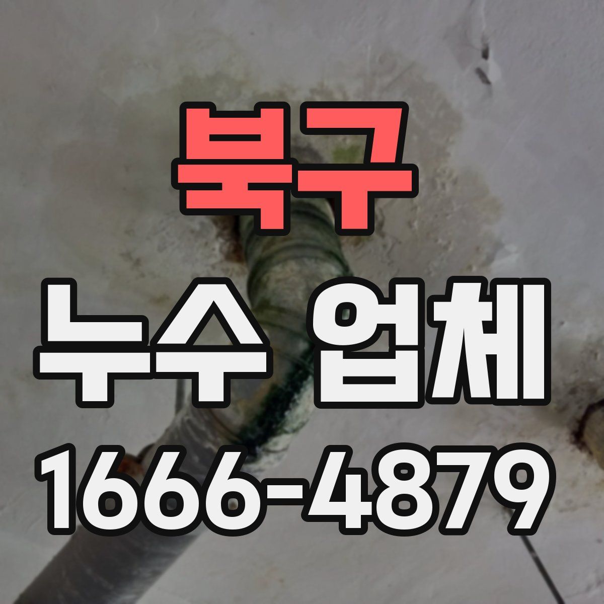 북구 누수 업체